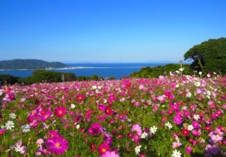 能古島