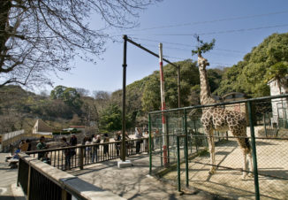 福岡市動植物園